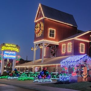 Dolly Parton’s Stampede: Enjoy Fun, Food, and Amazing Shows