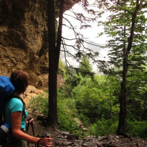 A Walk in the Woods: A Peaceful Day of Trails & Wildlife