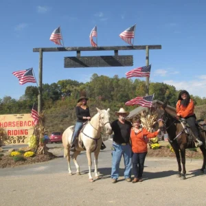 Gold Rush Stables: Enjoy Horseback Riding in Pigeon Forge
