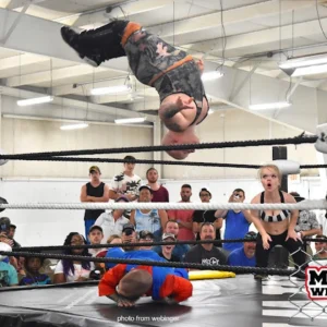 Micro Wrestling: Enjoy An Action-Packed Evening