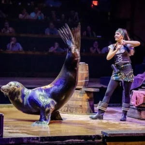Pirates Voyage Dinner & Show: Spectacular Adventure on the High Seas