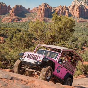 Pink Jeep Tours: Smoky Mountains Adventures Await