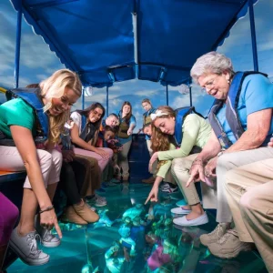 Ripley’s Aquarium of the Smokies: Dive Into an Aquatic Wonderland