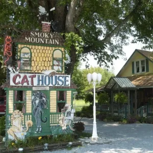 Smoky Mountain Cat House: A Purr-fect Shopping Experience