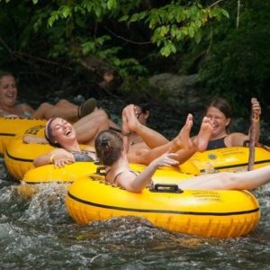 Smoky Mountain River Rat: Get Ready for All the Excitement