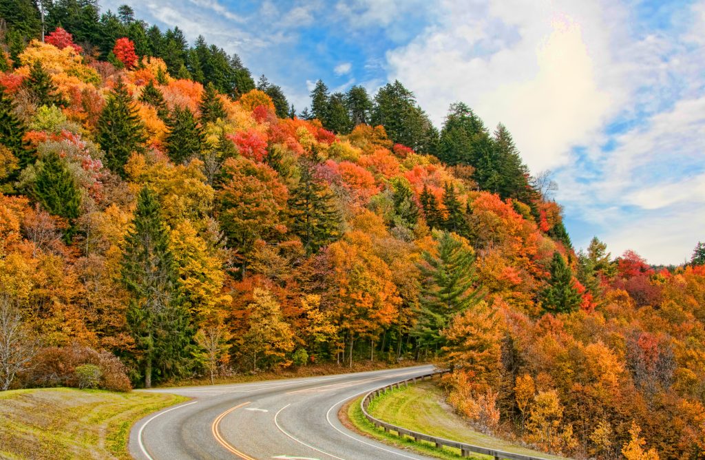 Peak autumn colors along Newfound Gap Road near Pigeon Forge showcase why fall is the best time to go to Pigeon Forge.