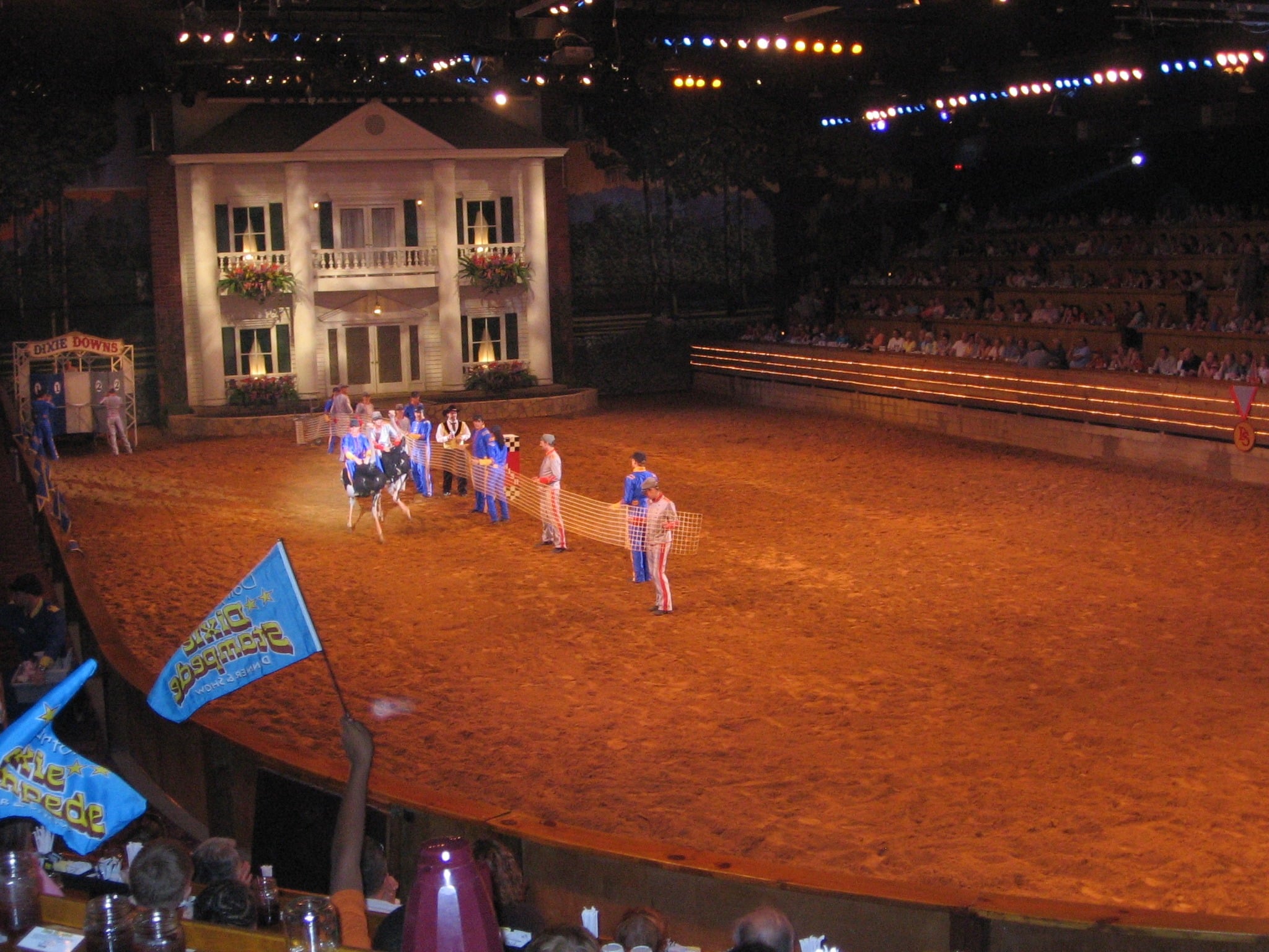 Live entertainment show at Dolly Parton's Stampede featuring performers in an arena setting.