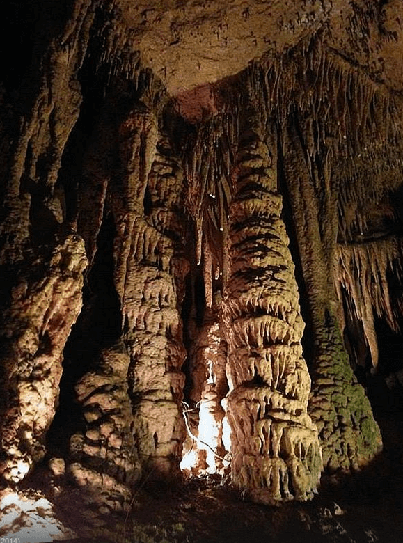 Stunning formations inside Forbidden Caverns in Pigeon Forge, TN, showcasing natural beauty and adventure