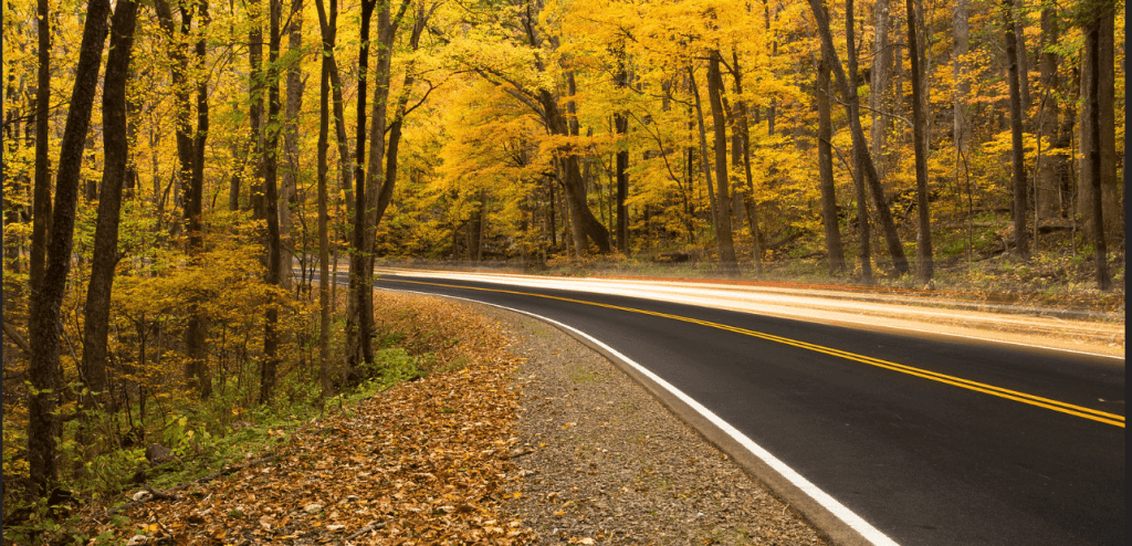 The Great Smoky Mountains National Park’s Newfound Gap Road