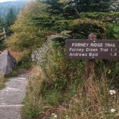 Andrews Bald Trail Hiking