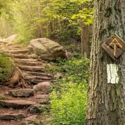 Appalachian Trail Hiking in Smoky Mountain