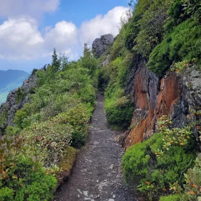 Charlies Bunion Trail smoky Mountain hiking