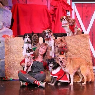 Comedy Barn Theater Pigeon Forge, comedy shows in pigeon forge