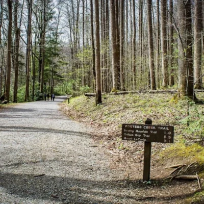 Porters Creek Trail