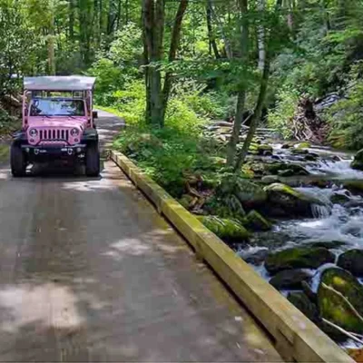 roaring fork motor nature trail Scenic Drive