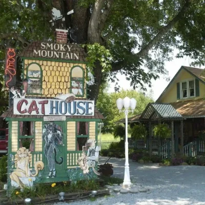 SMOKY-MOUNTAIN-CAT-HOUSE.jpg