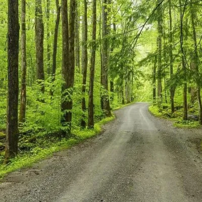 upper tremont road scenic drive